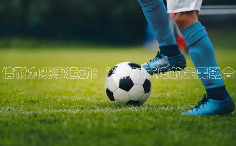 欧陆平台注册开户